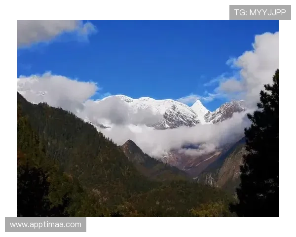 选择凯发娱发k8，开启你的幸运之旅与收获